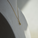 Load image into Gallery viewer, Tiny Diamond seashell Necklace